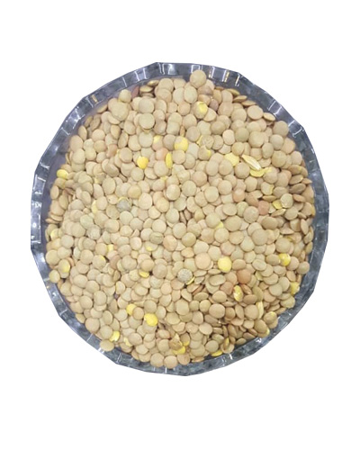 عدس سبز فله وزن 500گرم