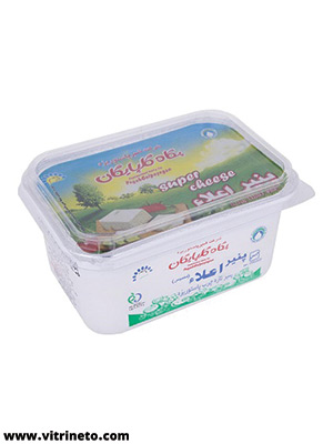 پنیر اعلاء پگاه گلپایگان 400 گرم